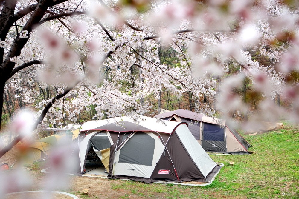가산산성 야영장