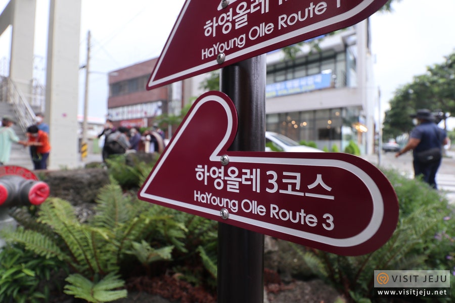 올레야영장